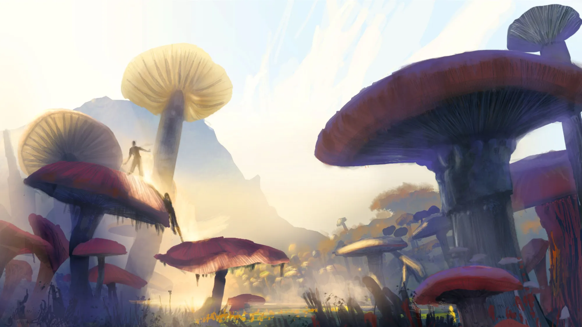 Valley of Mushrooms — Brian Flora
